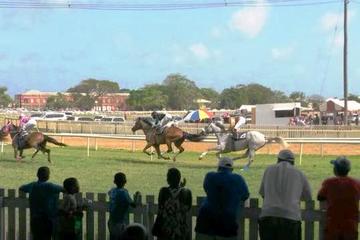 Horse Racing Experience at the Garrison Savannah Racetrack