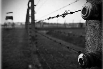Auschwitz and Birkenau Round-Trip Transfer Premium from Krakow