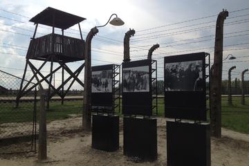 Auschwitz-Birkenau and Wieliczka with Private Transport from Krakow