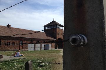 Private Auschwitz-Birkenau and Krakow Tour