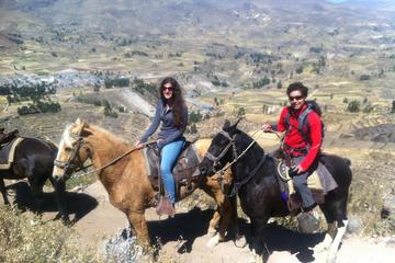 Overnight Tour: Colca Canyon Including Horse Riding from Arequipa
