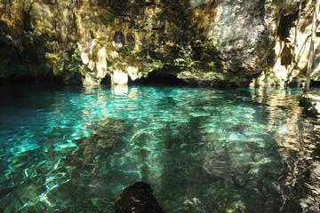 Caribbean Sea and Cenote Snorkeling Adventure from Tulum