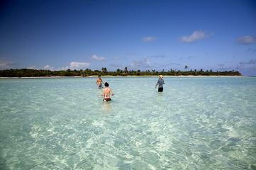Sian Ka'an Adventure from Tulum Including Snorkeling