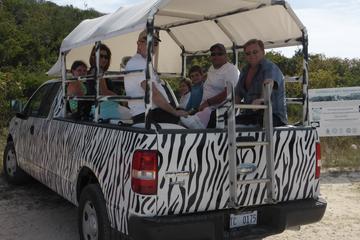 Private Tailor-Made Safari Tour