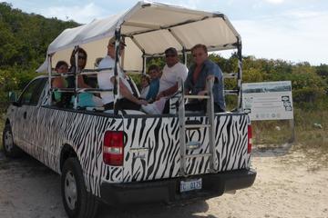Providenciales Sightseeing Tour