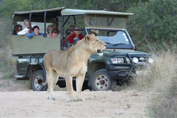 7 day Kruger Park from South to North open vehicle Safari Adventure