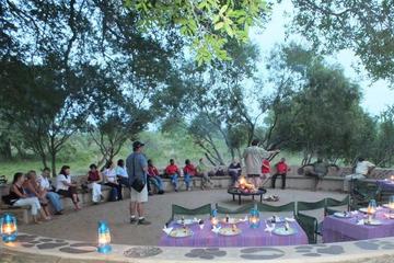 Kruger Park Sunset Safari With African Boma Dinner