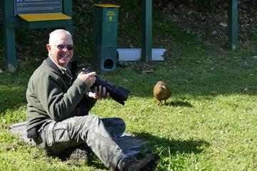 Bird Watching and Dolphin Eco-Tour from Picton
