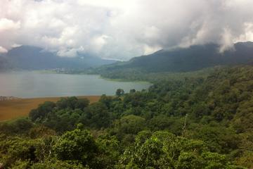 Private Rainforest Trekking Tour with Tamblingan Lake Canoeing