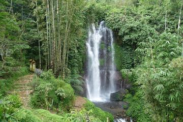 Private Tour: Munduk Waterfalls Trekking Tour