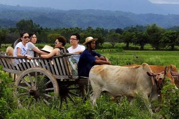 Full-Day Local Countryside Experience from Bangkok