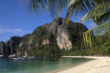 Full-Day Phi Phi Island by Speedboat from Phuket Including Lunch