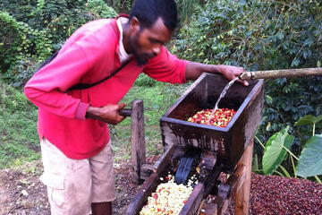 4-Day Small-Group Balibo Loop Tour from Dili