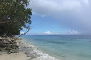 8-Day Timor Explorer Tour