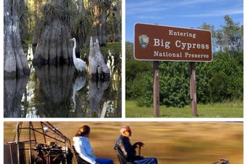 5 hour Private Everglades Tour with Miccosukee Airboat and Big Cypress National Preserve