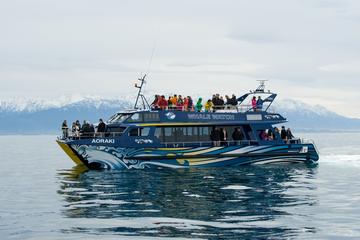 3-Day Kaikoura Whale Watching and Christchurch Tour