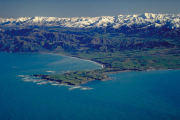 4-Day Akaroa and Kaikoura Tour from Christchurch
