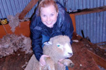 Christchurch Sheep Farm Visit