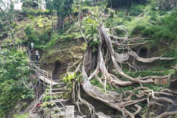 Payangan Hill And Heron Birds Tour