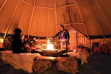 Reindeer Camp Dinner with Chance of Northern Lights in Tromso
