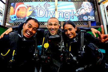 Beginner Diving Experience in Nusa Lembongan