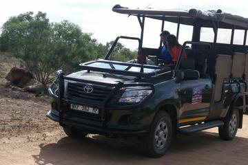 Full-Day Kruger National Park Safari