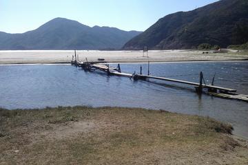 Private Hiking Day Tour: Hong Kong Country Park Adventure