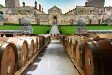 Amarone Grand Tour - Private Wine Tour with Lunch and Visit of Two Wineries