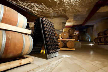 Amarone Wine Tasting and Winery Visit with local expert