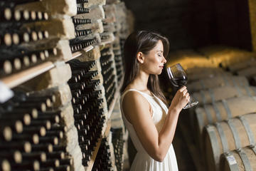 Half-Day Barolo Wine Tour in Piemonte with Gourmet Lunch and a Personal Driver
