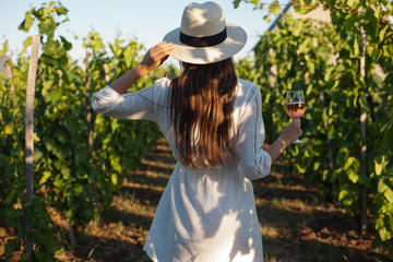 Half-Day Rose Private Wine Tour With Gourmet Lunch in French Riviera