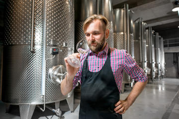 Visit to Lugana and Franciacorta Wineries with Gourmet Lunch on Lake Garda