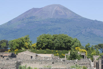 Naples City and Pompeii Half-Day Sightseeing Tour from Sorrento
