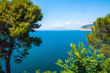 Naples Shore Excursion: Pompeii and Sorrento Day Trip