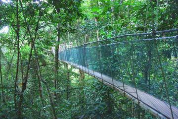 Private Full Day Kinabalu National Park Tour Including Lunch
