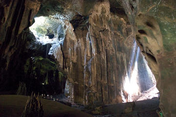 Private Tour: Full Day Gomantong Cave and Kinabatangan River Cruise Day Tour From Sandakan Including Lunch