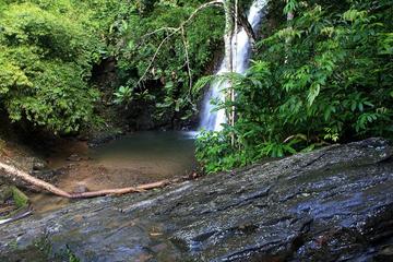 Private Tour: Full Day Langkawi Durian Perangin Waterfall Nature Tour Including ATV Adnenture