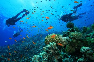 Pulau Payar Island Snorkeling and Diving Day Tour Including Lunch