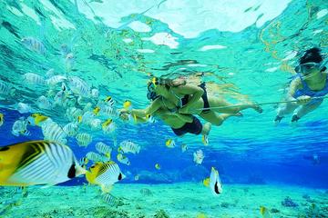Private Papagayo Gulf Boat and BBQ Tour