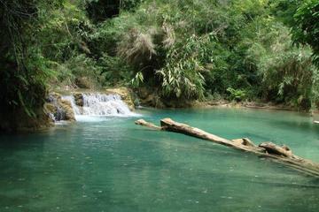 Private Tour: Kuang Si Waterfall from Luang Prabang
