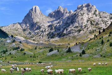 Konjic: Hiking Tour to Mountain Prenj, the Herzegovinian Himalaya