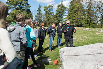 Stockholm Shore Excursion: Half-Day Viking History Tour from Stockholm