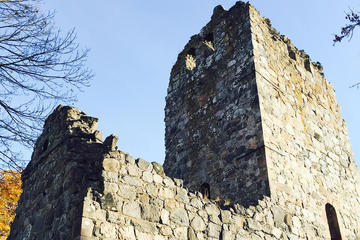 Stockholm Shore Excursion: Viking History Day Trip from Stockholm Including Uppsala
