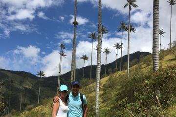 12-Day Bogotá, Medellín, Cartagena, Santa Marta and Eje Cafetero