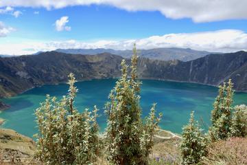 16 DAYS ECUADOR COMPLETE ADVENTURE TOUR: ANDES, AMAZON & GALAPAGOS