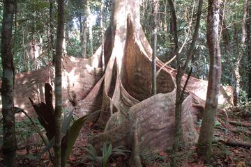 3-Day Amazon Napo Adventure on Budget from Quito