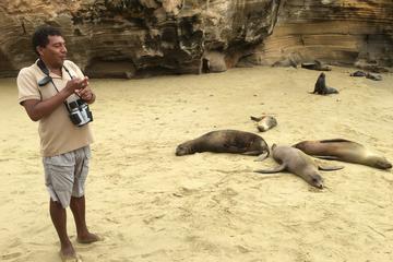 4 - 5 Day San Cristobal Expedition
