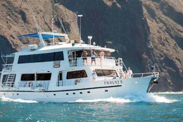 4- 5- or 8-Day Fragata Cruise