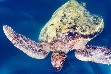 4-Day All Inclusive Galapagos Island Hopping - Tourist Class