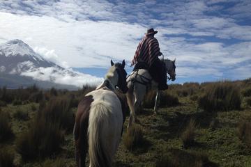 5-Day Adventure in The Andes and the Amazon from Quito